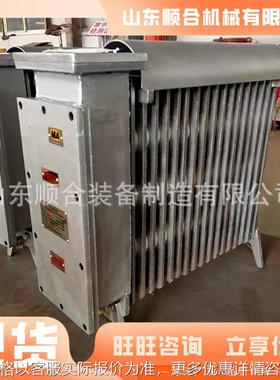 RB-2000/127防爆取暖器 铸铁防爆取暖器 煤矿用隔爆型电热取暖器