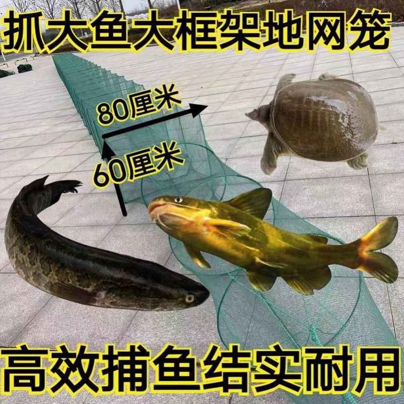 有结捕大鱼大框虾笼鱼网捕鱼笼折叠渔网地鱼笼大号大鱼笼图片