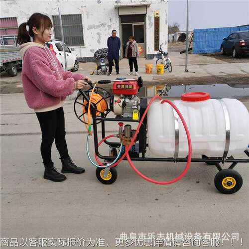 手式LF-80推汽油打药机 园园农田喷雾器 水雾林大喷程远农果用打