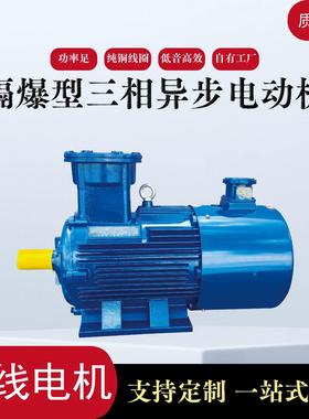 源头厂家YBBP变频隔爆型三相异步电动机180机座防爆电机11KW22KW