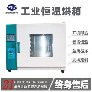 智能控温电热鼓风干燥箱恒温烘箱烤箱实验工业商用烤箱老化箱