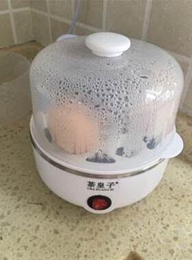 蒸鸡蛋器煮烝蛋机宝宝蒸蛋早餐机炖蛋羹4-6枚自动断电热饭热奶气