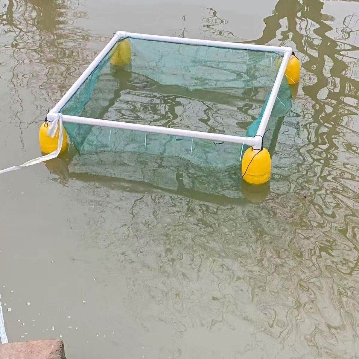悬浮全套钓场存鱼网箱框架隔离家用暂养小型漂浮鱼苗回鱼养殖网箱
