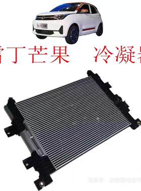 雷丁芒果汽车后驱的冷凝器带电子扇总成，空调管路一根。