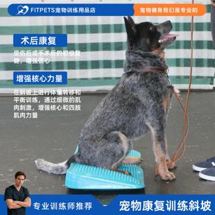 宠物康复训练斜坡充气坡道锲子狗健身球肌肉体重转移倾引渡