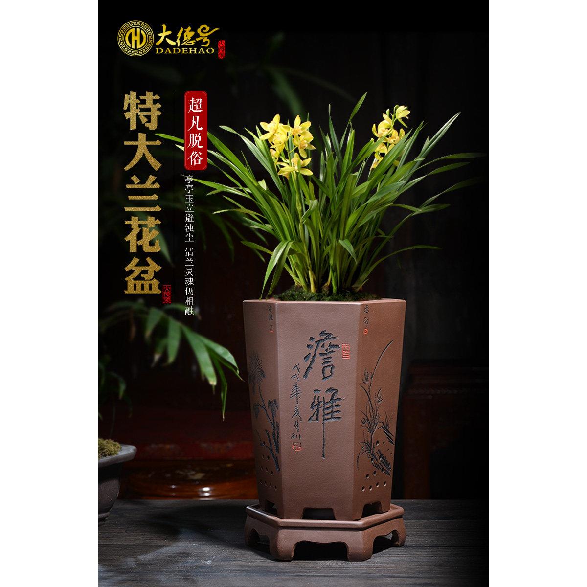 陶瓷紫砂兰花盆室内清雅高档花盆直口六方兰花盆兰花专用盆景花盆