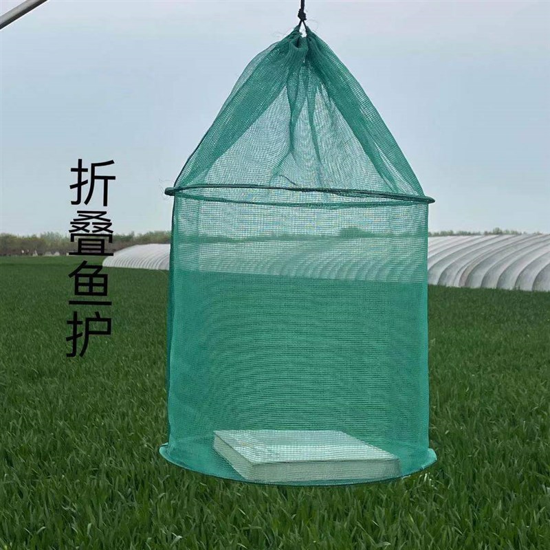 存鱼网箱小型暂养鱼小网箱鱼笼养鱼螃蟹龙虾网笼吊笼养殖专用折叠