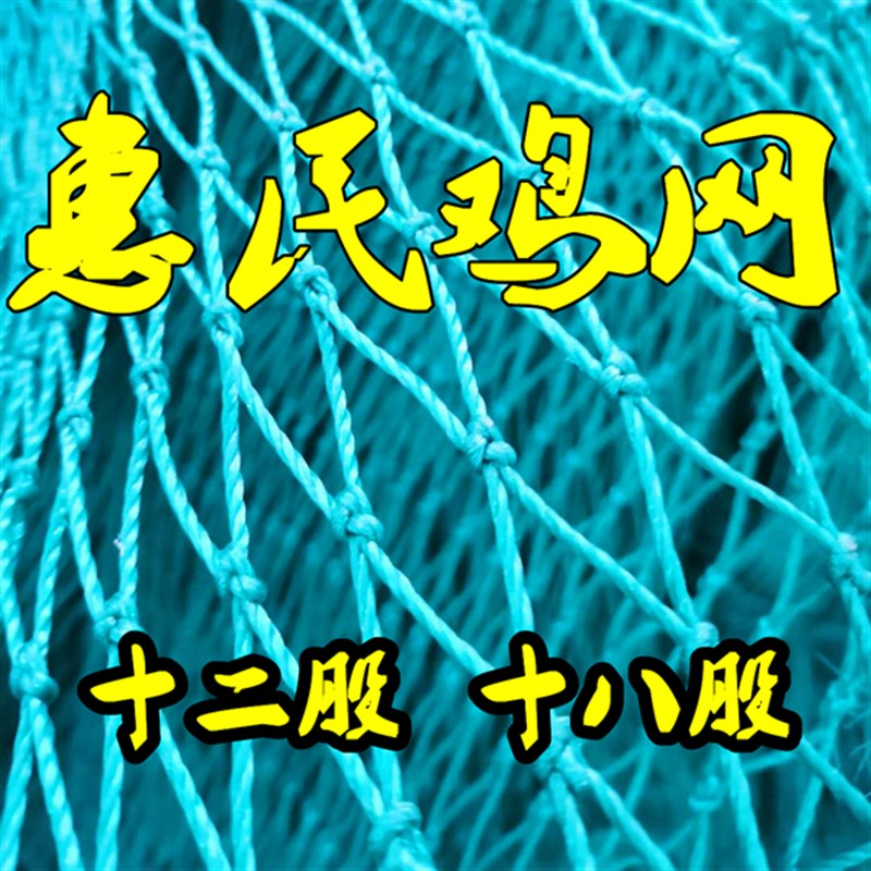养鸡网山鸡网拦鸡网家o禽养殖网防鸡网天网菜园网围鸡网围栏网户