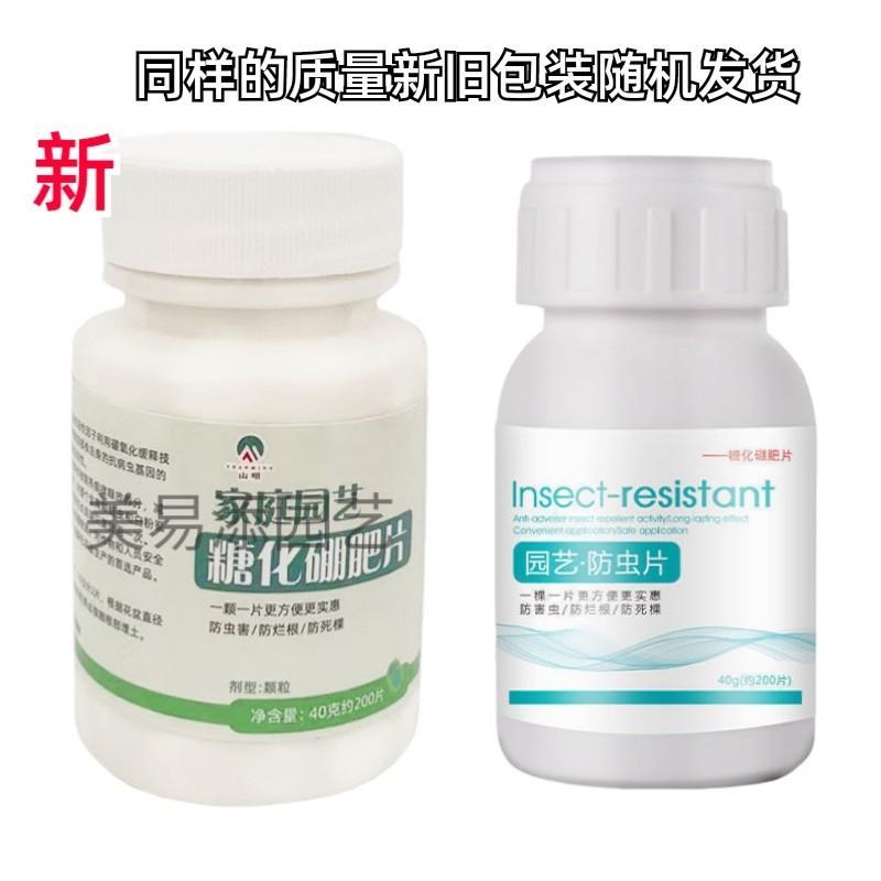 家庭园艺糖化硼肥片花卉杀防虫片蓟马小黑飞蚜虫白粉虱绿植专用药