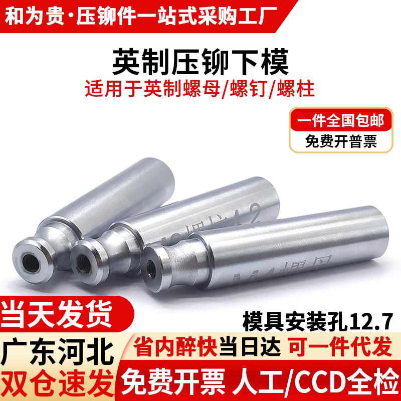 压铆模具英制压铆螺母螺柱螺钉冲头压铆机下模具配件铆钉机工具