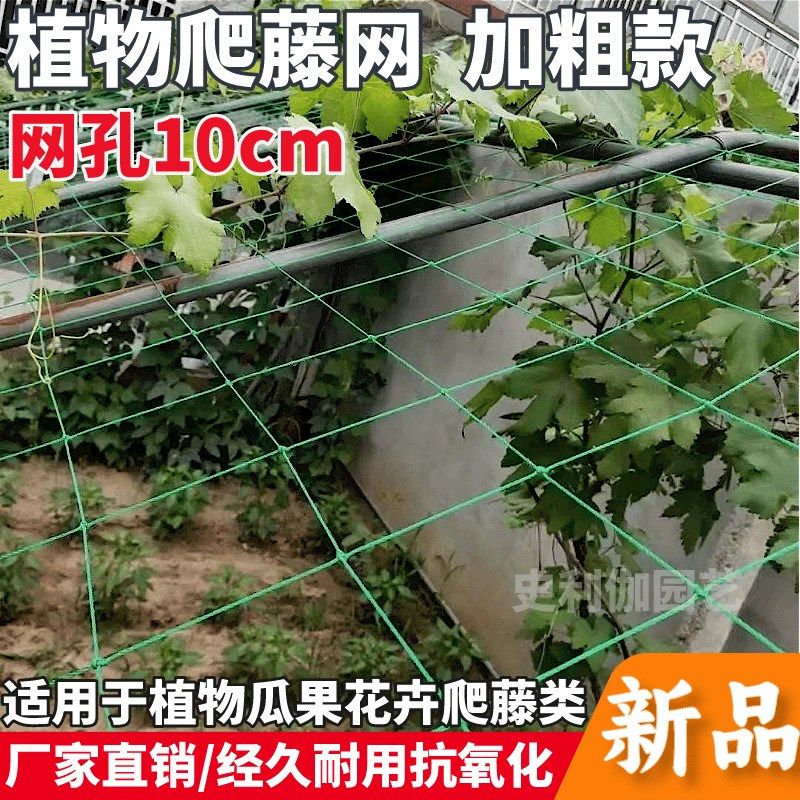 植物爬藤网园艺搭架网瓜果丝瓜苦瓜月季藤蔓攀爬种植网阳台室外