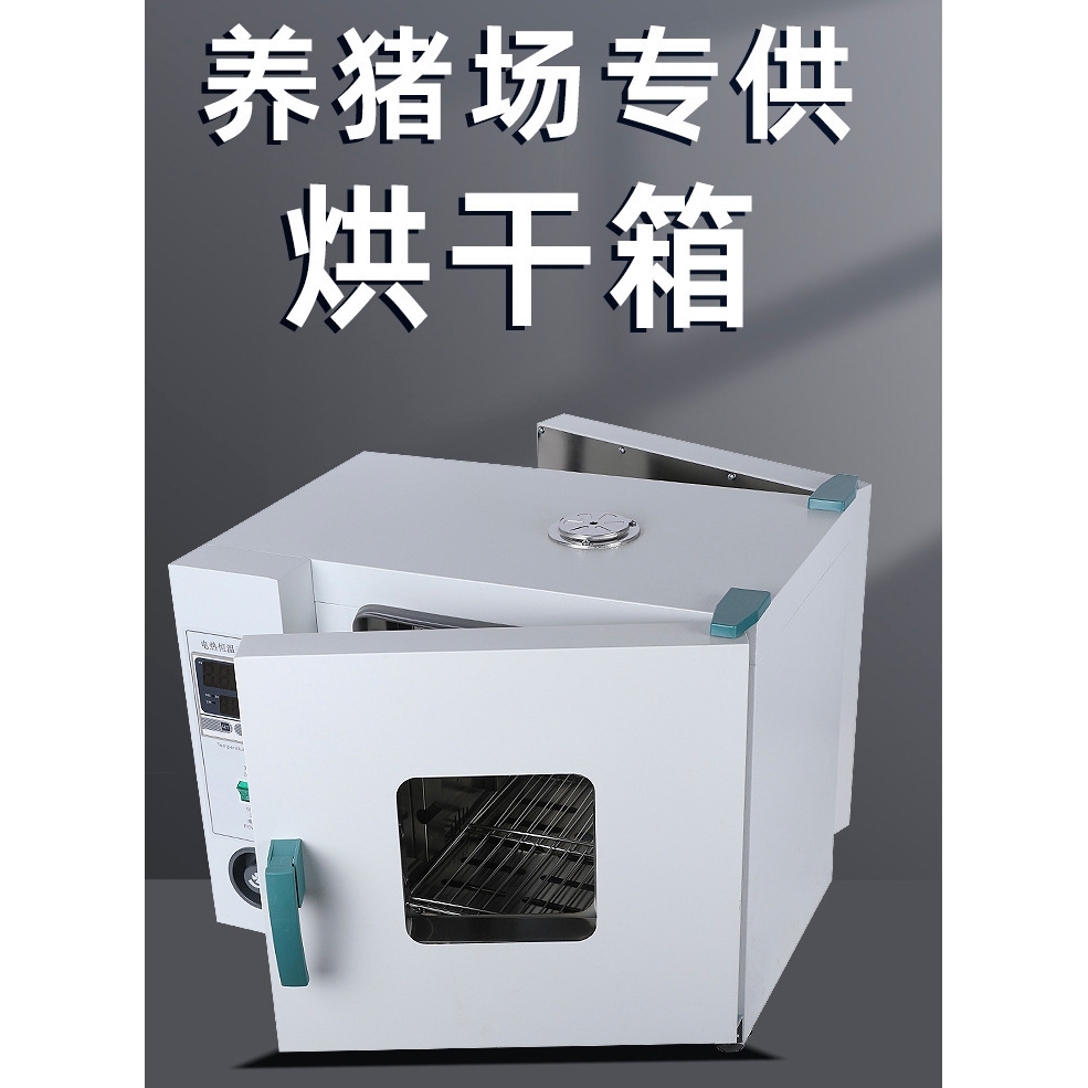 养猪场前后双开门对开门干燥箱烘箱电热恒温鼓风烤箱烘干箱