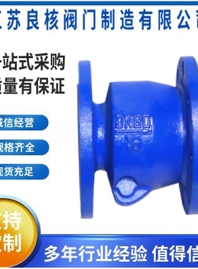 HC44X法兰旋启止回阀污水泵 单向逆止阀 卧式止回阀 水泵排污阀门