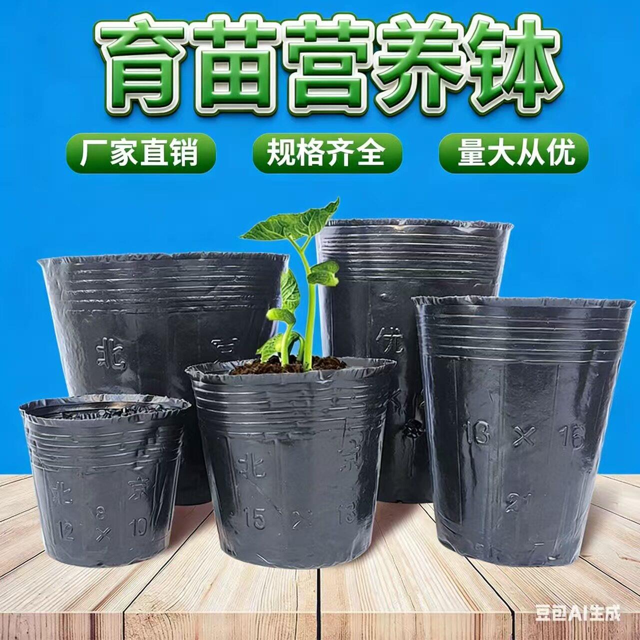 营养钵加厚 塑料营养袋营养杯育苗盆育苗袋一次性薄花盆矮胖杯子