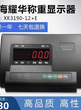 上海耀华XK3190-A12+E仪表称重显示器小地磅计重表头电子秤连电脑