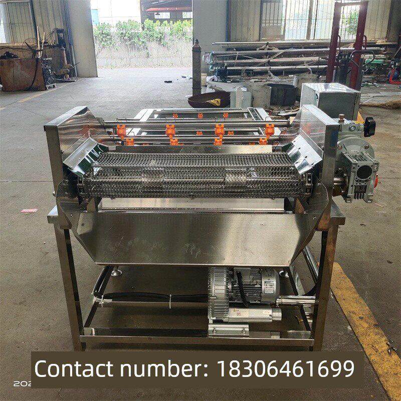 喷淋式粽叶果蔬气泡清洗机桑葚蓝莓去农残大型清洗机叶类蔬菜清洗