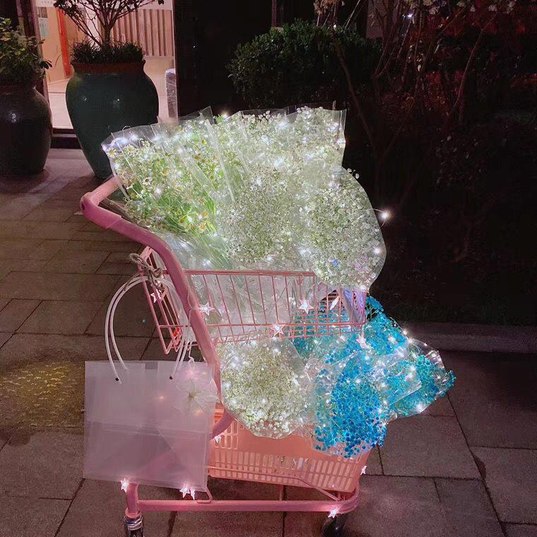 网红摆地摊双层购物车手推车超市商场Ktv 宠物店饰品抓娃娃店花店