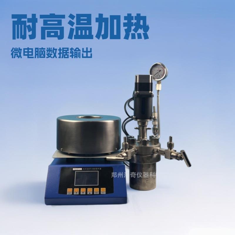 腐蚀性剧毒渗透性化学反应器高温高压反应釜加热套高压反应釜实验