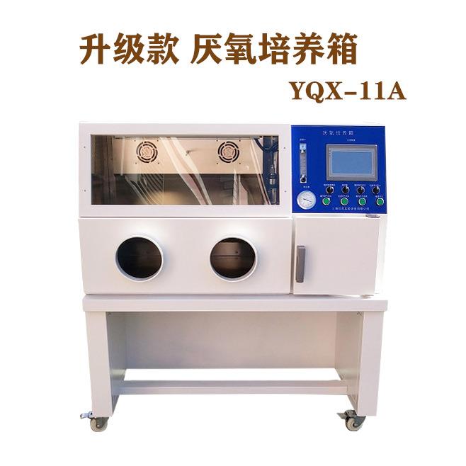 上海厂家生产自动型厌氧培养箱YQX-I触摸屏厌氧菌培养箱下单优惠