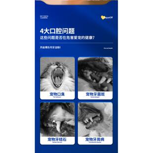 自营 博乐丹洁牙粉狗狗猫咪除口臭牙结石口腔清洁宠物喷剂洁齿
