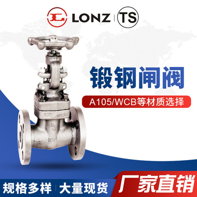 A105锻钢闸阀Z41H 法兰锻钢闸阀软密封Z41H闸阀手动闸阀