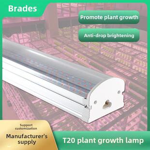 Led多肉全光谱植物生长灯室内专用彷日光四排紫外线照射