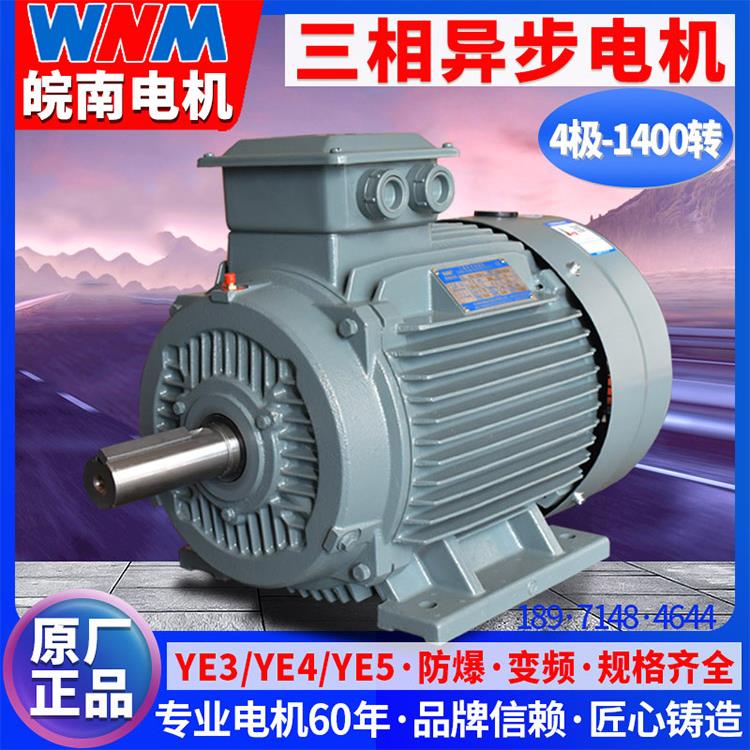 安徽万南电机Ye3超高效三相异步电机4极1400转全铜电机380V