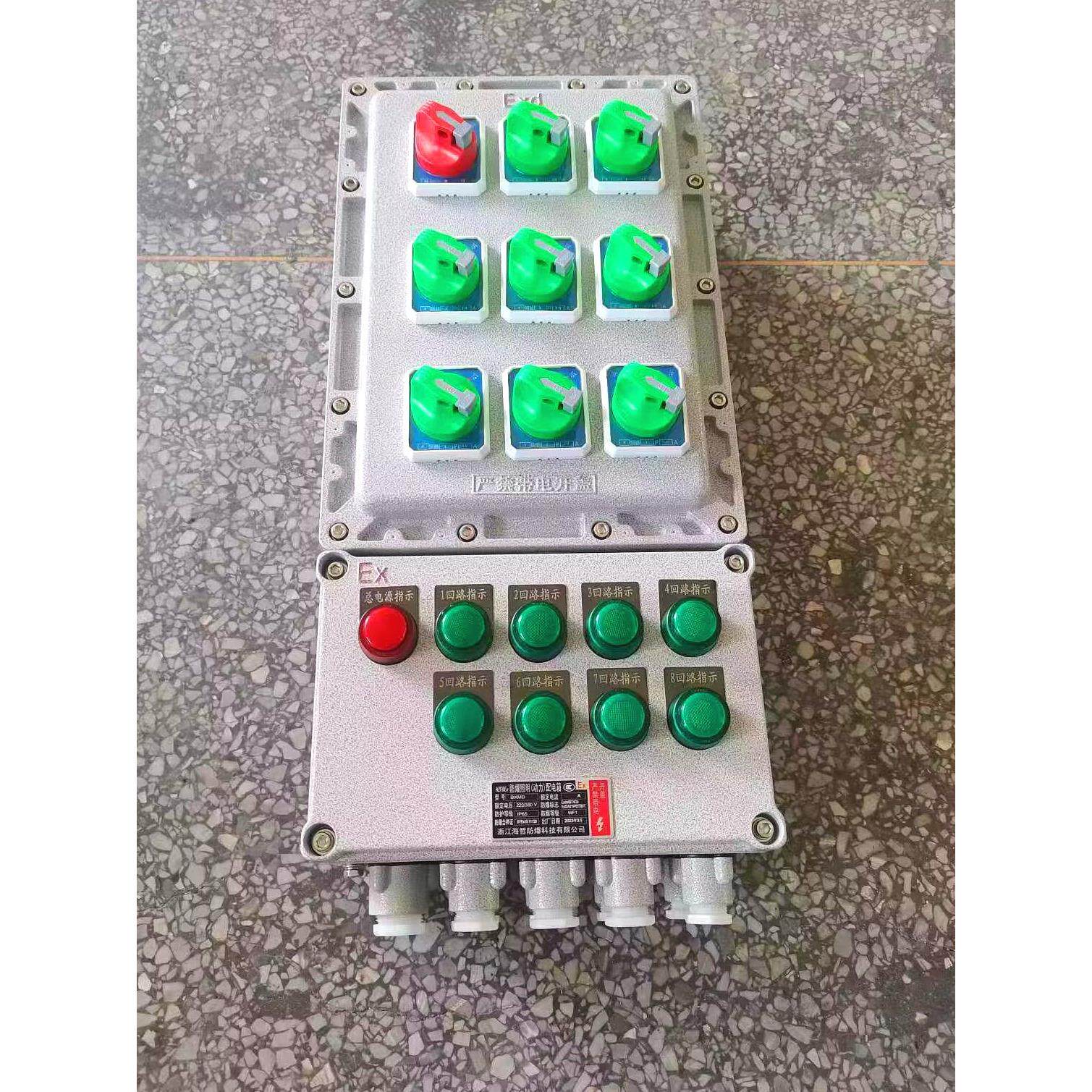 BDZ防爆断路器隔离开关100 160 200A三相塑壳开关防爆配电箱IIBT4