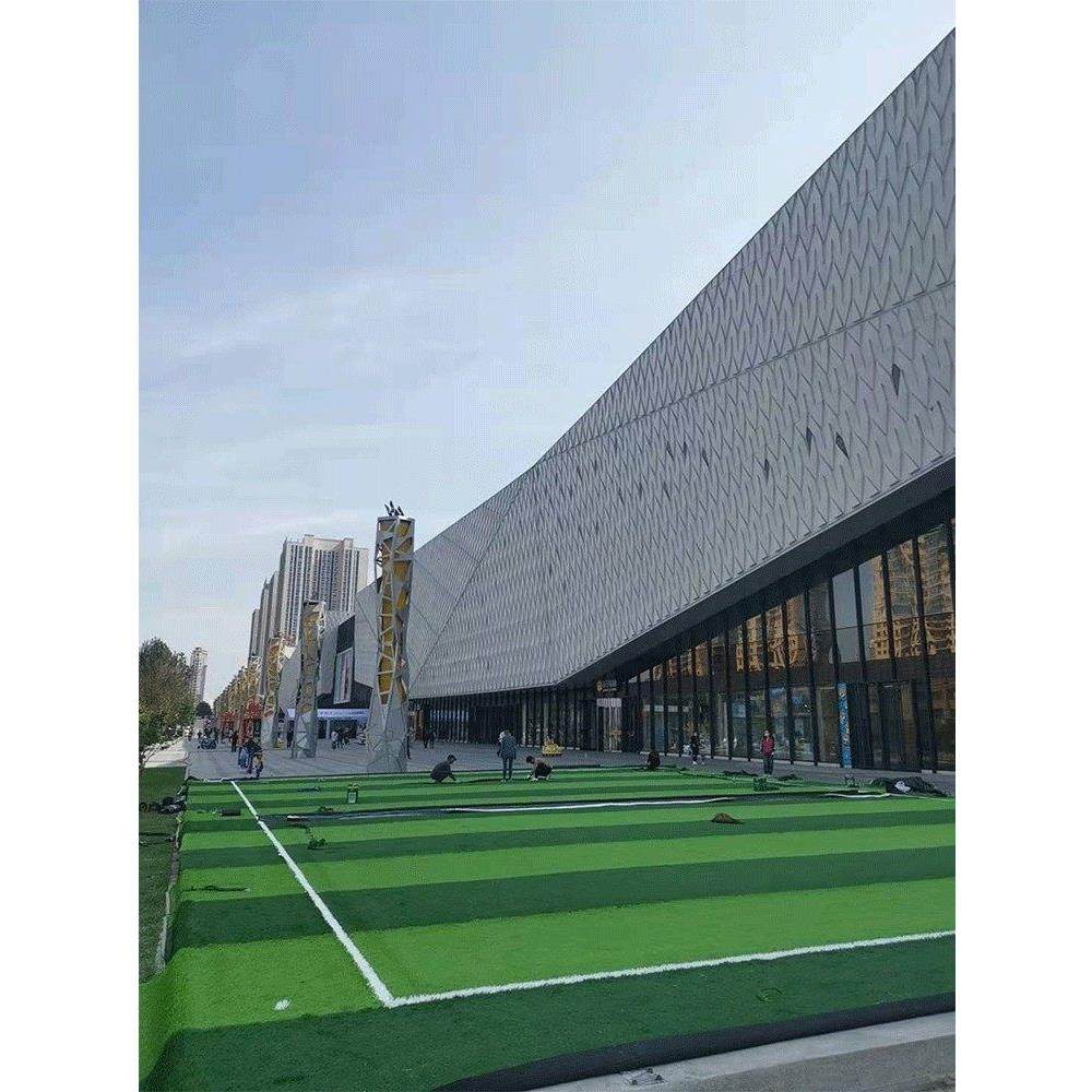 人造草坪足球场五人制幼儿园户外彷真草皮专业免填充人工室内地毯,鲜花速递/花卉仿真/绿植园艺,仿真绿植,淘宝优惠券,粉丝福利购,淘宝优惠卷