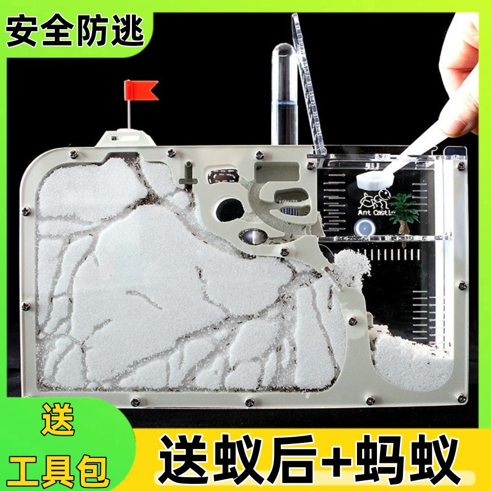 蚂蚁生态箱送蚁后免装大型观察盒超大号宠物饲养箱儿童家养城厂家