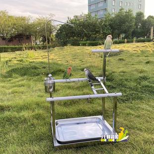 不锈钢双杆鹦鹉站架 桌面站架 玄凤虎皮牡丹不锈钢落地手养训鸟架