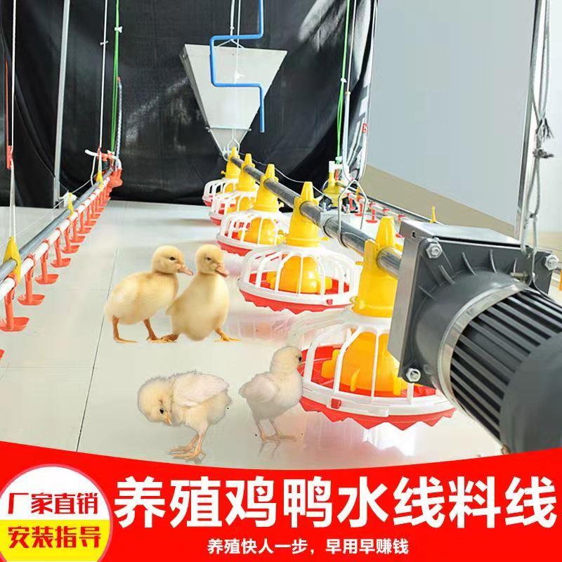 养殖鸡舍自动喂料机眼镜鸡喂食器畜牧养鸡大棚全套料线水线
