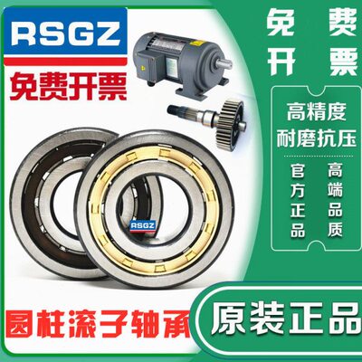 RSGZ圆柱滚子轴承NJ NU 202 203 204 205 206 207 208 209EM