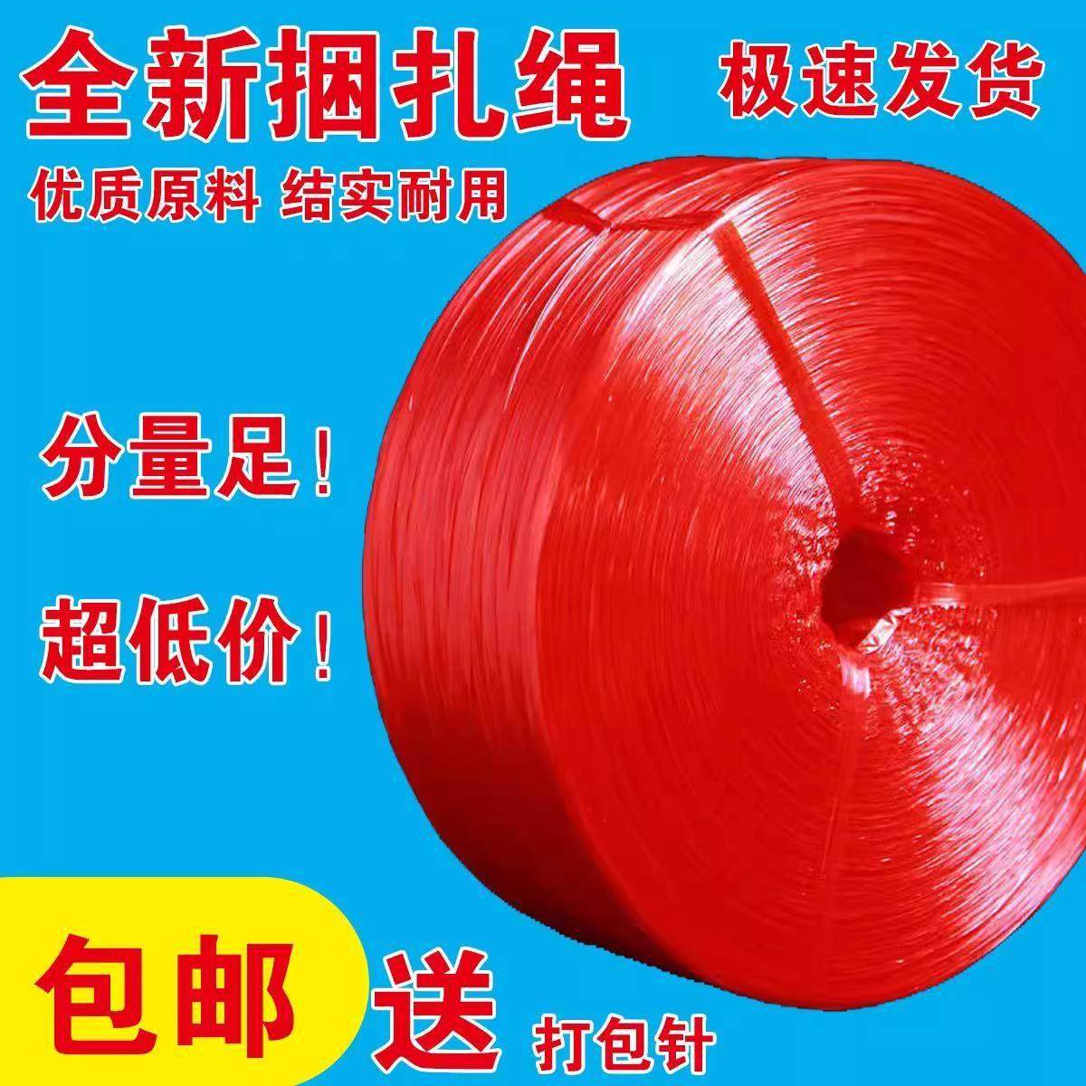 塑料绳子编织绳子塑料红绳子扎口绳捆扎打包捆绑耐磨包装绳尼龙绳,鲜花速递/花卉仿真/绿植园艺,打草绳等其他绳子,淘宝优惠券,粉丝福利购,淘宝优惠卷