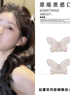 赵露思同款冰透蝴蝶小抓夹秋冬仙气甜美侧边编发夹森系公主头发饰