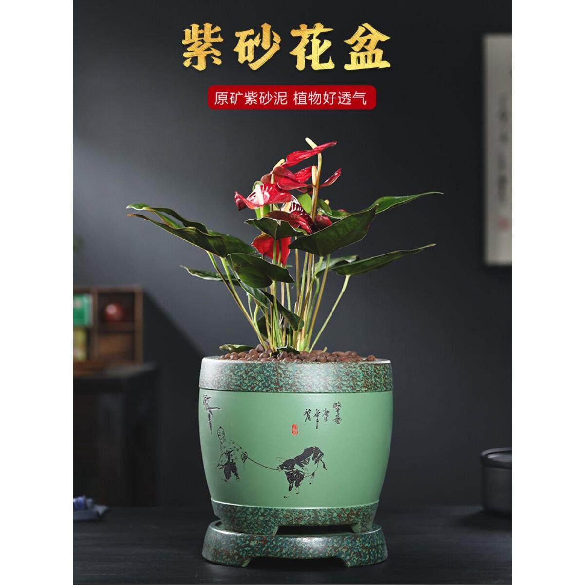 精致紫砂花盆网红花卉绿色植物盆景兰花花盆Clivia花盆阳台古董室