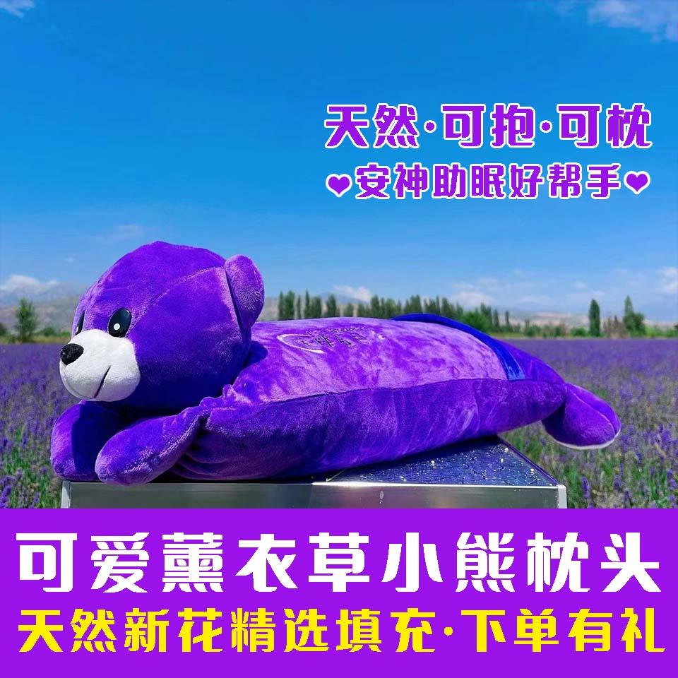 新疆伊犁薰衣草熊枕头安神助眠解压护颈椎缓解情绪单人可爱送礼物