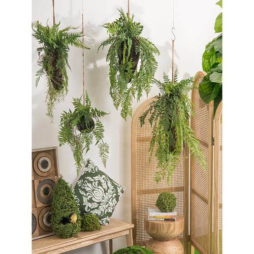 森泰彷真蕨类垂吊植物装饰室内绿植壁挂花假花藤条橱窗装饰森系