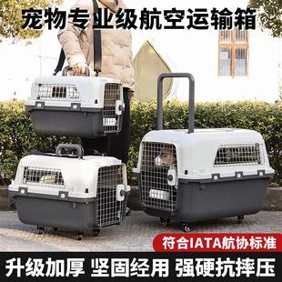 手提宠物箱中小型宠物外出托运空运箱可拆卸多样式 新款 宠物航空箱