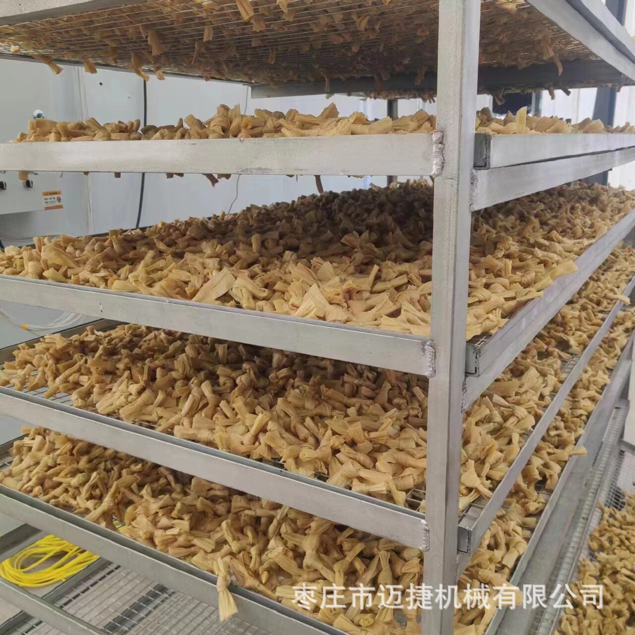 热风循环烘箱烘干机干燥箱豆结烘干设备电加热蔬菜食品烘干机