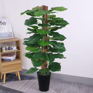 假树仿真绿植客厅室内落地大型仿真植物盆景摆件大叶绿萝仿真假花