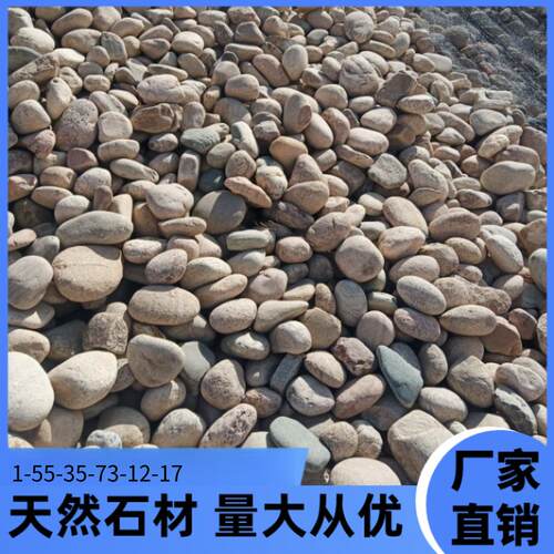 北京园林绿化河卵石用天然河卵石变电站用鹅卵石鹅卵石滤料河滩石