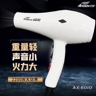 艾信吹风机6010大功率2200W理髲店发型师专业用轻骑静音造型吹风