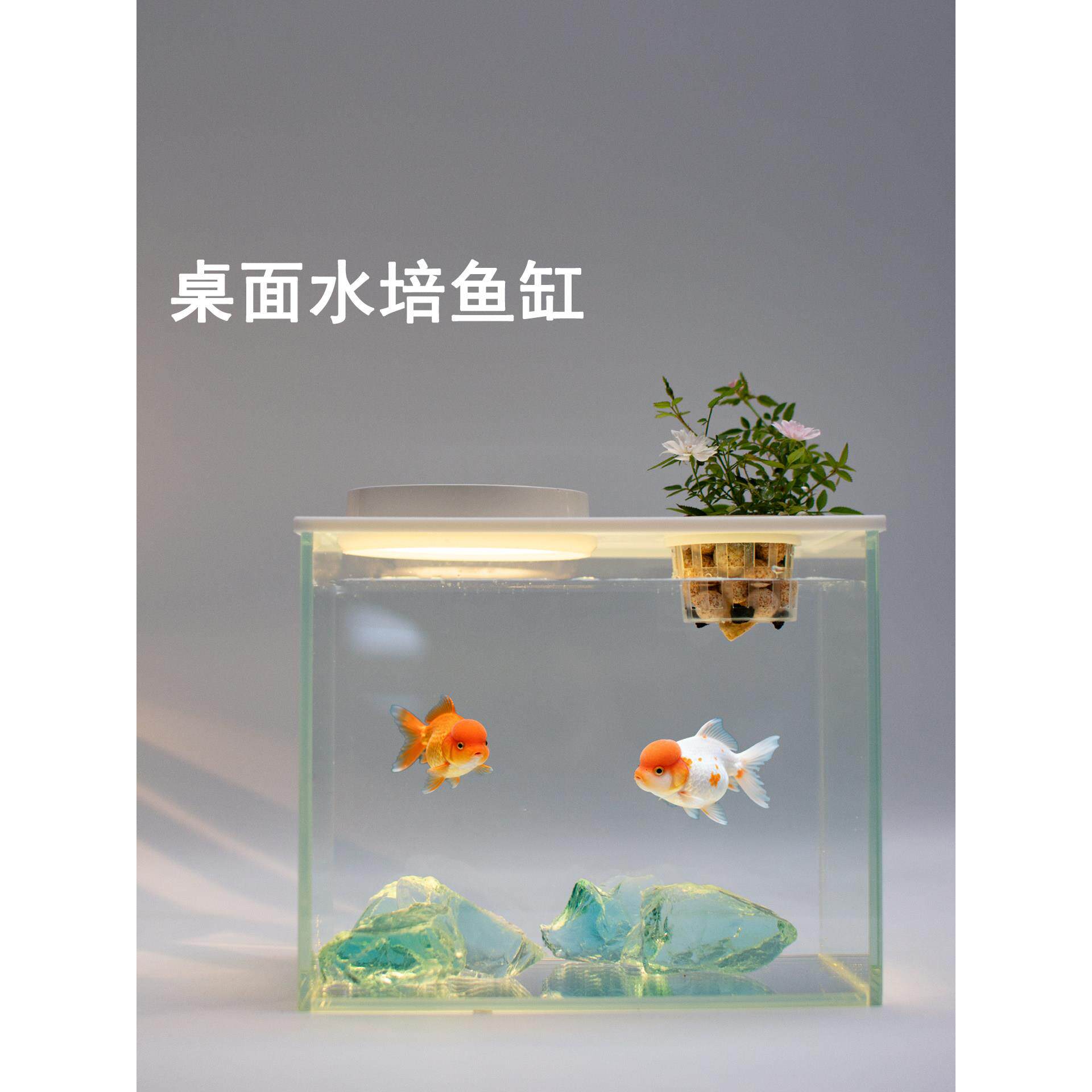 桌面水培鱼缸生态缸带灯过滤微景观懒人免换水鱼缸超白玻璃水草缸