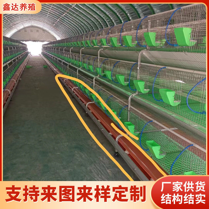 销售欧式24笼位双层繁殖兔笼养兔用多功能养殖笼具自动喂料兔笼