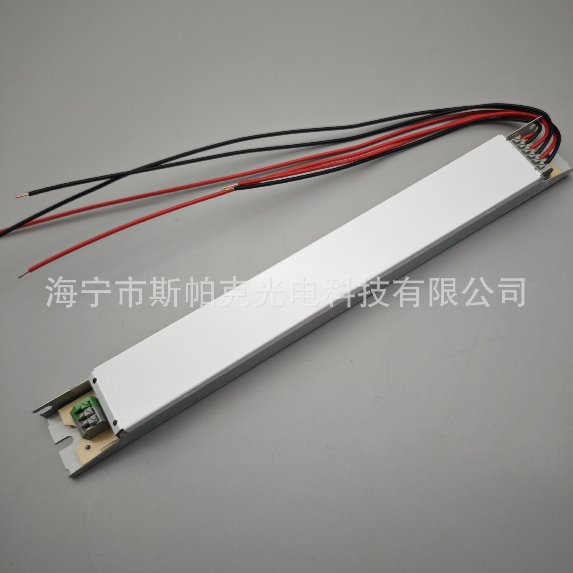 T8电子镇流器一拖二捕蝇灯灭蚊