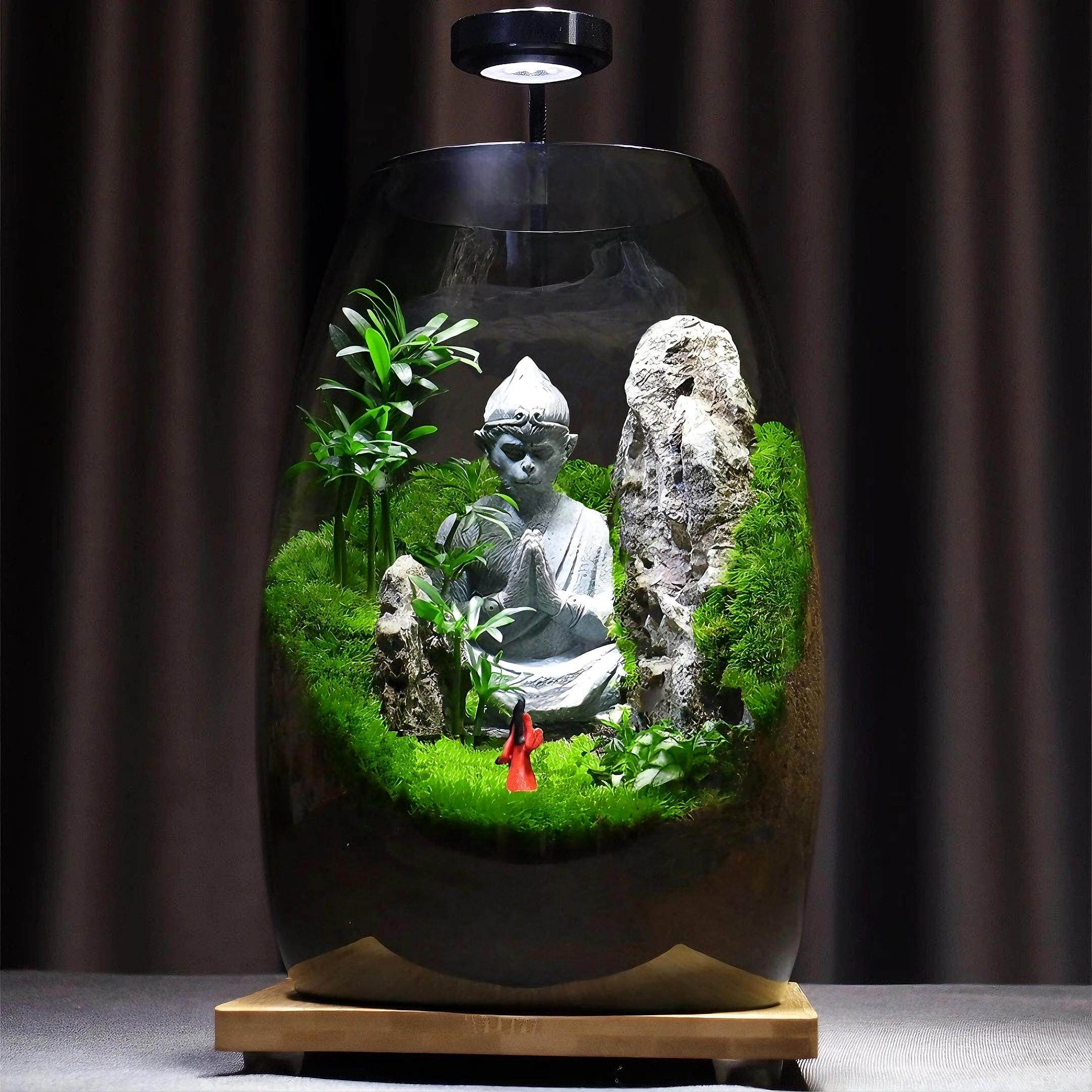 苔藓微景观生态瓶造景植物全套桌面绿植摆件悟空森林生态雨林鱼缸