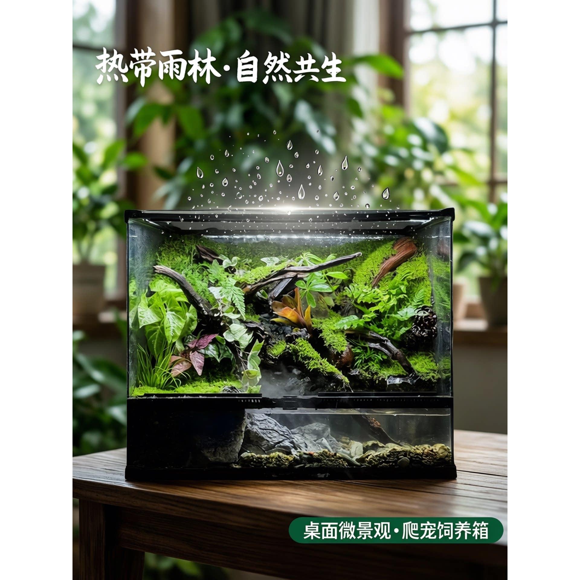 全套热带雨林生态缸植物造景爬宠缸饲养箱桌面微景观森林成品摆件