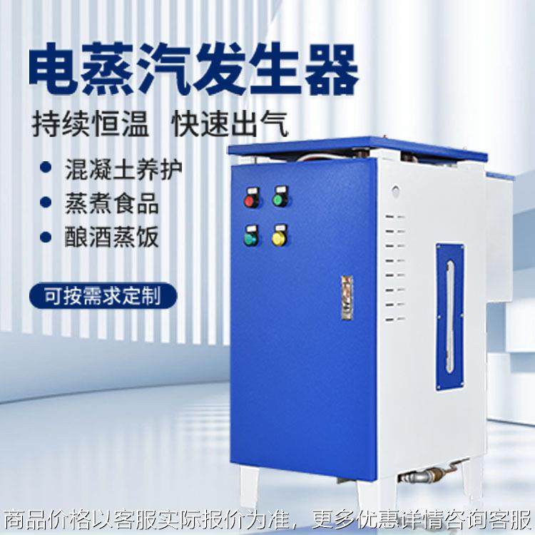 18电加热蒸汽发生器 蒸汽锅炉 蒸煮酿酒药材蒸煮蒸汽洗车机养护