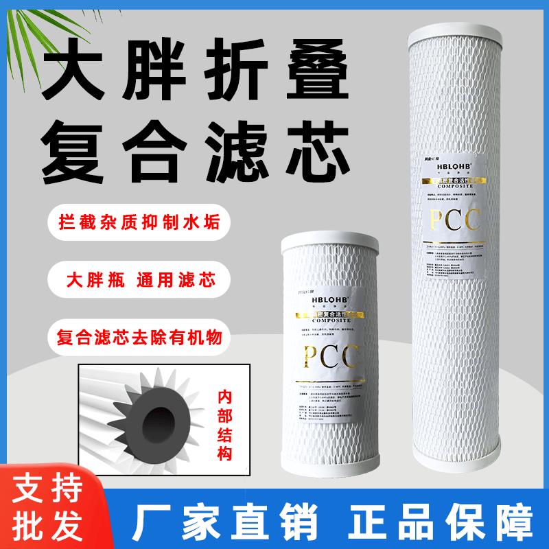 10寸20寸PPC复合折叠活性炭滤芯品牌前置过滤大白瓶蓝瓶通用配件